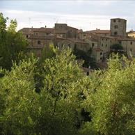 Bibbona - Foto di G. Guccini